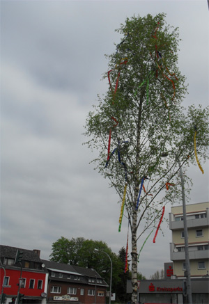 Ein "staatzer Boom" wurde mir versprochen und der wurde dann auch f&uuml;r die Ortsgemeinschaft Herm&uuml;lheim gestiftet. Dank allen Beteiligten aus Vereinen und den zahlreich erschienenen B&uuml;rgerInnen und dem Team um Oliver Franz wurde es ein tolles Fest in den sch&ouml;nen Mai hinein. 